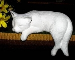 Schlafende Katze für Regal – 19 cm lang - Schrühware