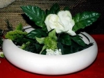Flache runde Pflanzschale – 30 cm Durchmesser – 7 cm hoch – Schrühware