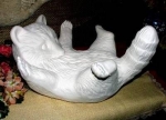 Waschbär auf dem Rücken - 38 cm lang - 31 cm breit - 21 cm hoch - Schrühware