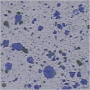 Kornblume - 200 ml - von BOTZ - DISC