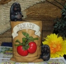 Samentüte - 15 cm hoch – Tomaten mit Igeln – Schrühware