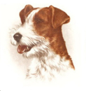 Decal – Terrier – 100 mm