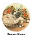 Decal – Katze – 75 mm
