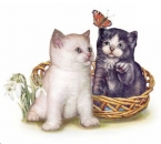 Decal – KITTENS & BUTTERFLY – 50 mm