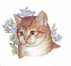 Decal – KITTEN – Katze – 80 mm