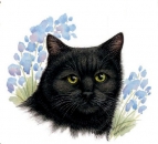 Decal – Katze – Black Cat – 40 mm