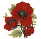 Decal – Red Poppy – Klatschmohn – 75 mm