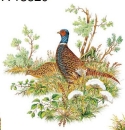 Decal – Fasan – Pheasant – 65 x 45 mm