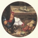 Decal – Hühner – 50 mm Ø