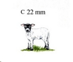 Decal – Schaf – Lamm – Schwarzkopf – 22 x 25 mm