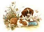 Decal – Welpe und Kaninchen – Pets – 70 mm