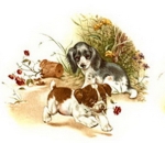 Decal – Welpen – Pets – 105 mm