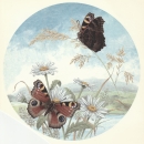 Decal – Schmetterlinge – Butterflies – 198 mm Ø