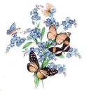 Decal – Schmetterlinge & Vergissmeinnicht – 75 mm