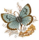 Decal – Schmetterlings-Szene – 70 mm