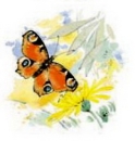 Decal – Schmetterling mit Blumen – 95 x 95 mm