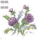 Decal – Distel – Glamis Thistle – 35 mm Ø