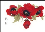 Decal – Red Poppy – Klatschmohn – 66 x 45 mm