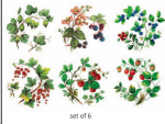 Decals – Wild Berries – Beeren im 6er-Set – je 110 mm
