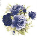 Decal – Moonlight Rose – 75 mm - Kopie