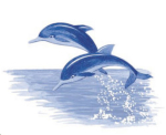Decal – Blue Dolphins – Delfine - 65 x 100 mm – DISC