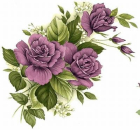 Decal – Rose Purple – 60 x 40 mm
