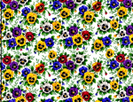Decal – Chintz – Pansy – Stiefmütterchen (Blüte ca. 2,5 cm) – ca. 50 x 70 cm