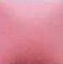 NT-026 – Pink Carnation – Kaltmalfarbe von DUNCAN – 29,5 ml – Altbestand