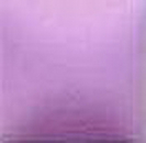 NT-053 – Winter Lilac  – Kaltmalfarbe von DUNCAN – 29,5 ml – Altbestand