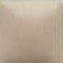 NT-058 – Toasted Tan – Natural Touch Acrylics – 29,5 ml - Acryl-Farbe von DUNCAN – Altbestand