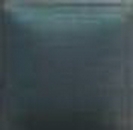 NT-082 – Evergreen – Kaltmalfarbe von DUNCAN – 29,5 ml – Altbestand