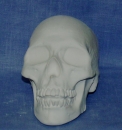 Halloween-Schädel – Totenkopf – 18 x 11,5 x 15 cm – nicht ausgeschnitten – Schrühware