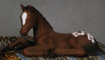 Pferd - Fohlen - liegend - – 38 cm lang – Schrühware