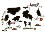 Decal – Kuh – Cow – 80 mm