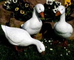 Große Gänse im 3er-Set – 45 bzw. 43 cm – Schrühware