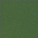 Fichtengrün - BOTZ-Flüssigglasur - 800 ml - DISC