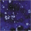 Blaue Wolke - 800 ml - von BOTZ - DISC