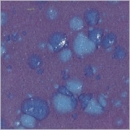 Lavendel - 800 ml - von BOTZ