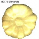 Butterfly-Glasur - 100 ml - BG-70 - eierschale