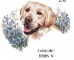 Decal - Hund - Labrador - 75 mm