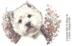 Decal - Hund - Westi - 5 cm