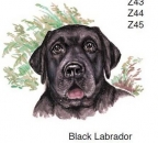 Decal - Black Labrador - 75 mm