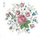 Decal - DUBARRY 114x110mm