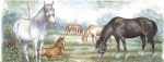 Decal - HORSE & FOAL – MUG – 210x80mm