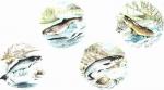 Decal - GAME FISH 75 mm - 4 Motive