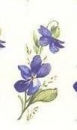 Decal - Veilchen - 35 x 20 mm