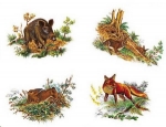 Decal – Waldtiere – Wildschwein – Hase – Kaninchen – Fuchs – je 65 x 45 mm im 4er-Satz