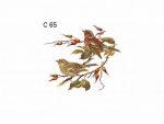 Decal - CHAFFINCH - Birds - 65 mm