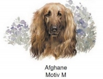 Decal - Hund - Afghane – 75MM