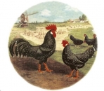 Decal - Hahn und Henne - 5 cm